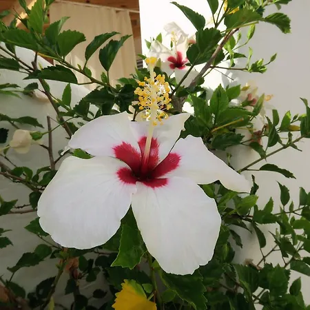 Hacienda Encanto Del Rio Apartman